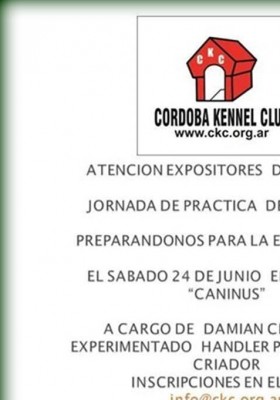 PRACTICAS DE HANDLING...